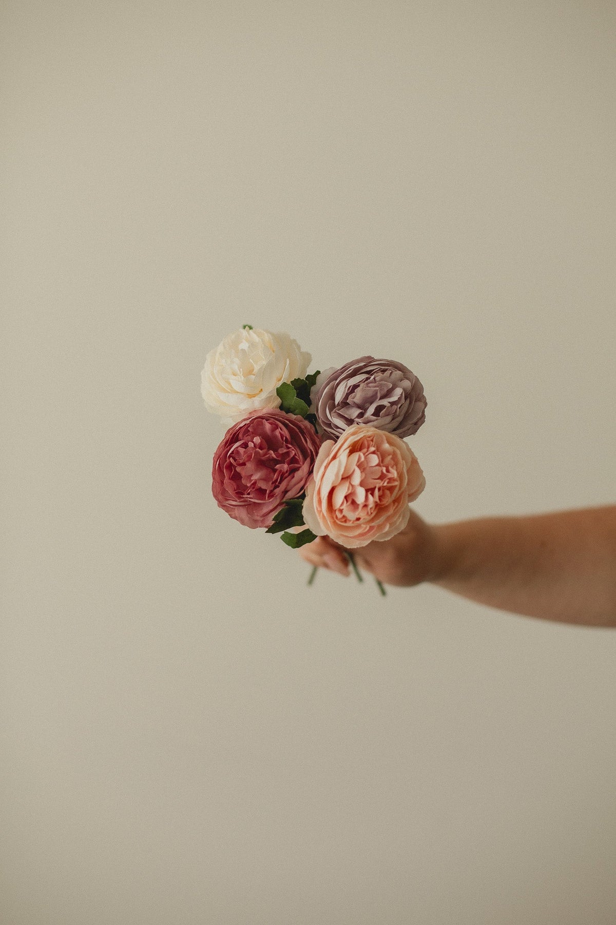 Rose anglaise