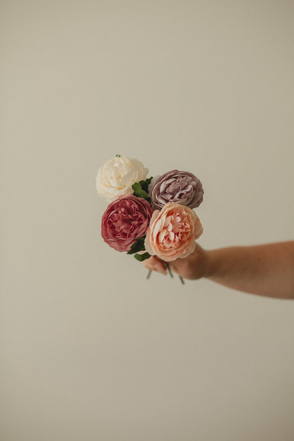 Rose anglaise