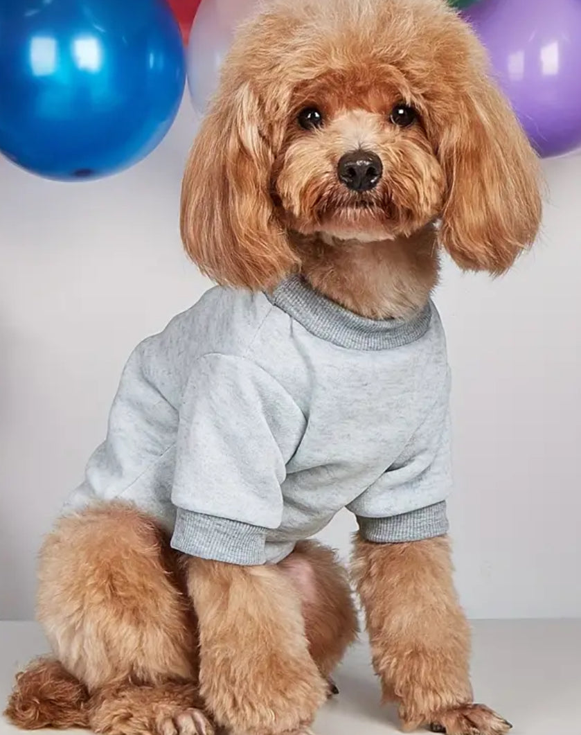 T-shirt chien Shark Bait | T-shirt graphique pour chien