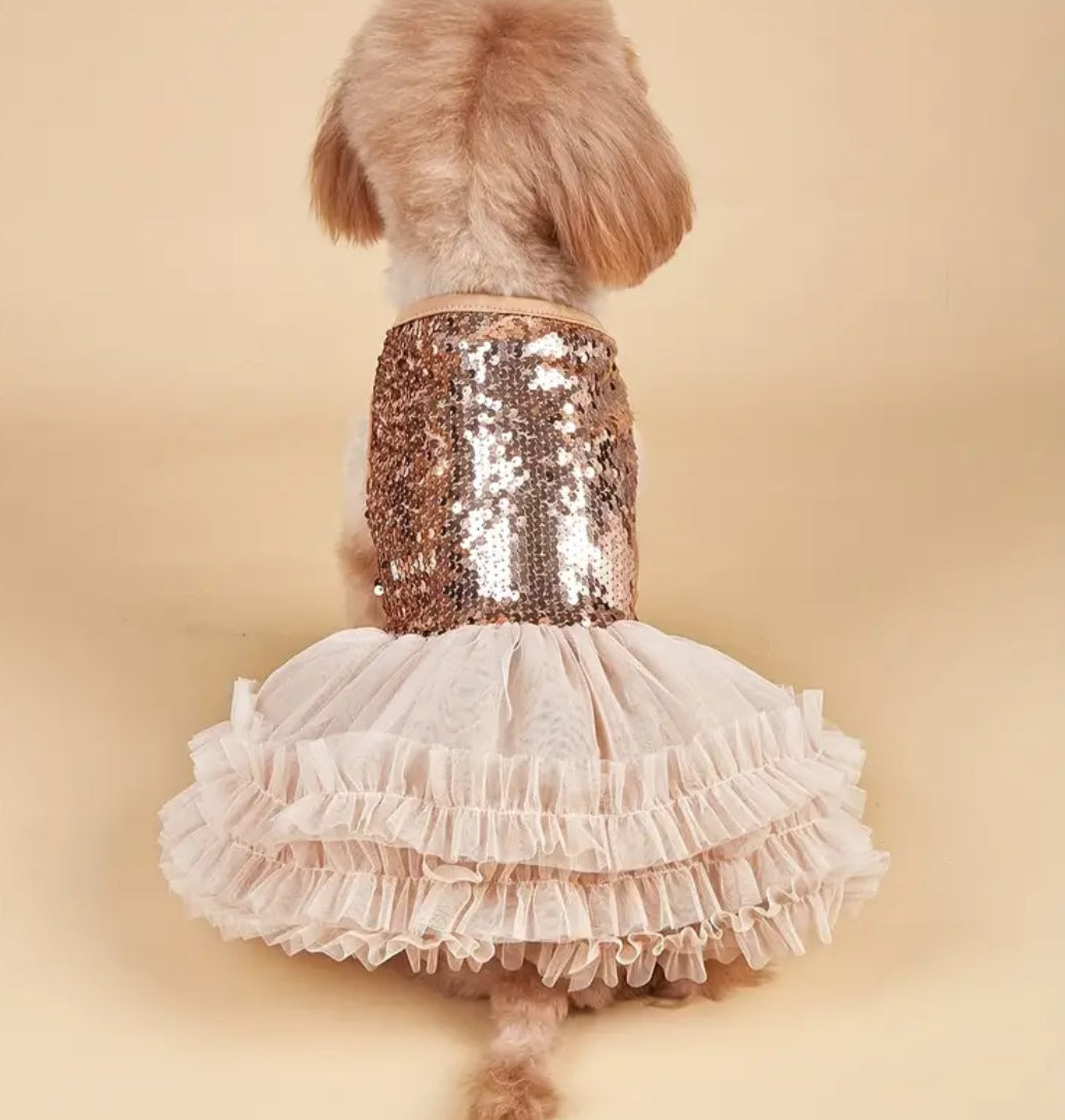 Robe pour chien Eloise | Robe de créateur pour animaux de compagnie