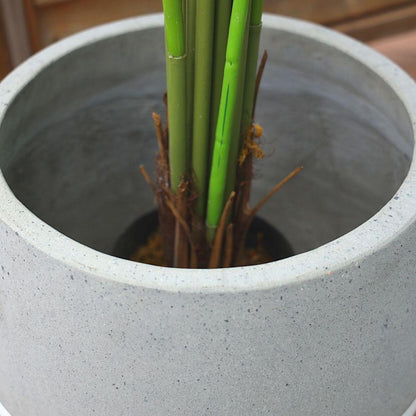 Jardinière en ciment Zamora (Plusieurs tailles)