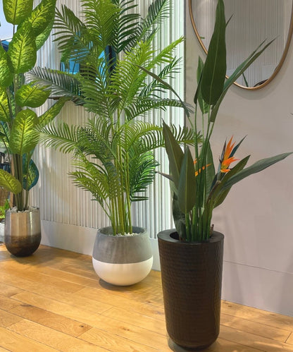 Jardinière en ciment Zamora (Plusieurs tailles)