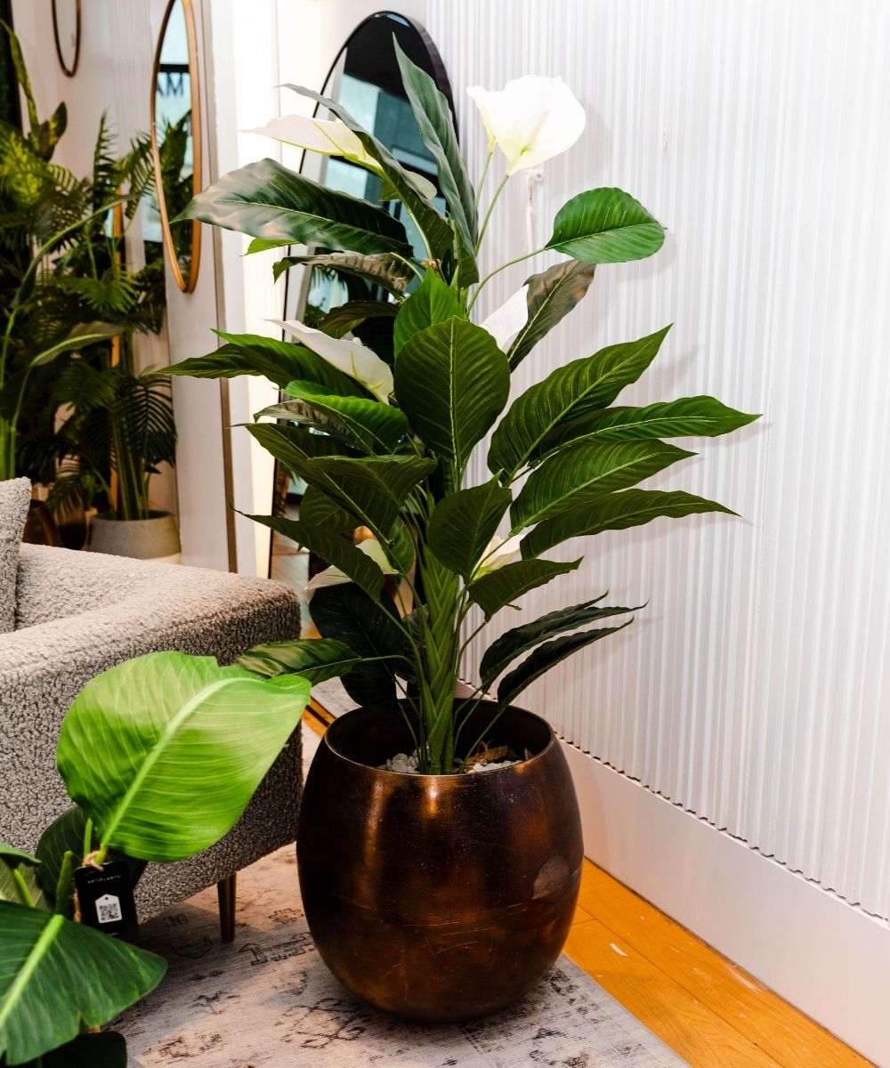 Belen Artificial Anthurium Leaf Potted Plant (Multiple Sizes)