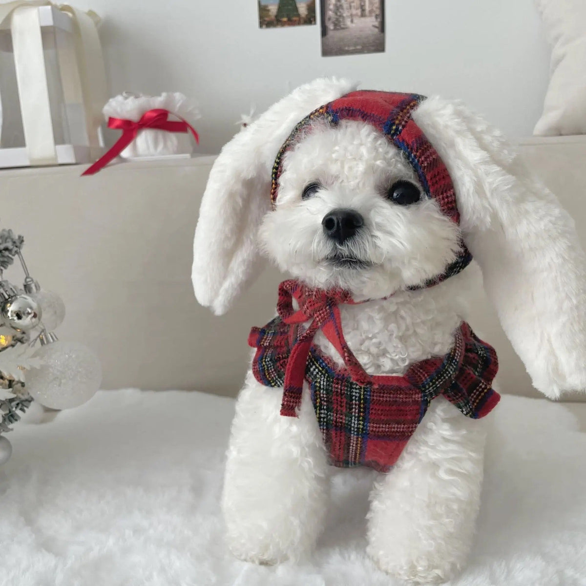 Robe Hiver Lapin pour Chiens – Robe Chien à Carreaux Rouges avec Chapeau