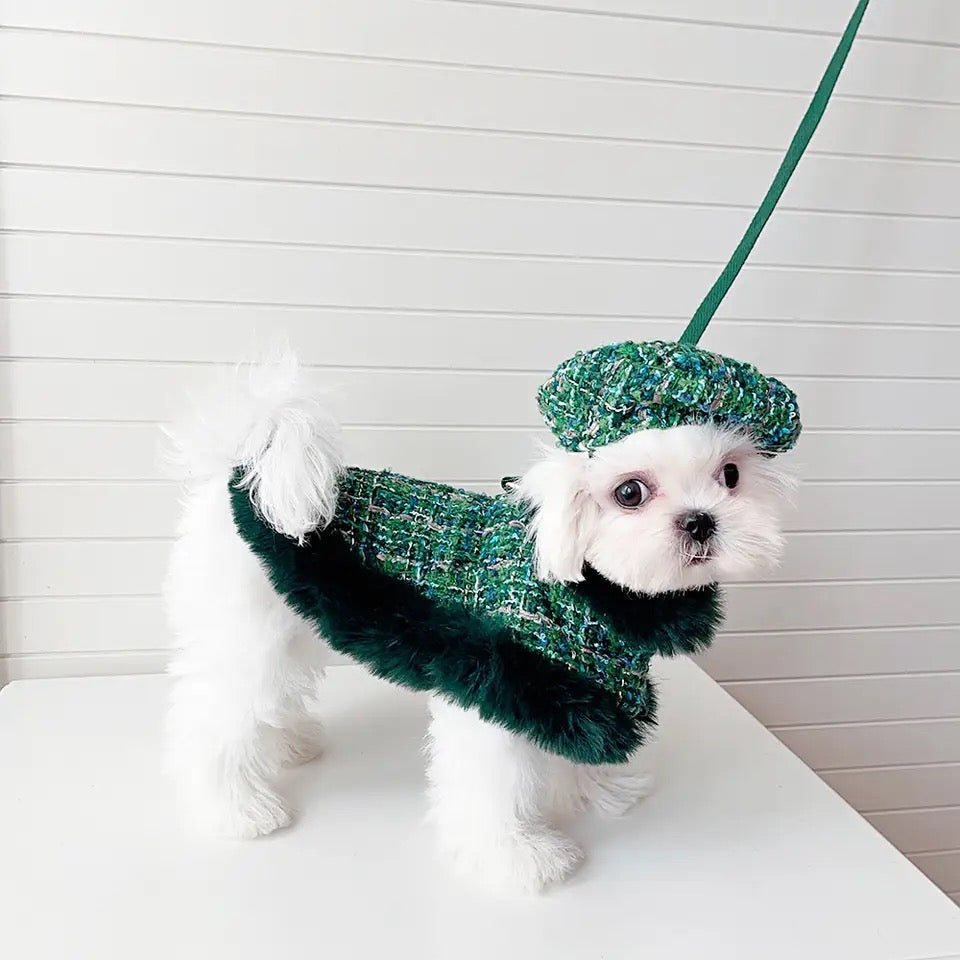 Evergreen Heritage Tweed Dog Harness Set | Harness Hat and Leash Outfit