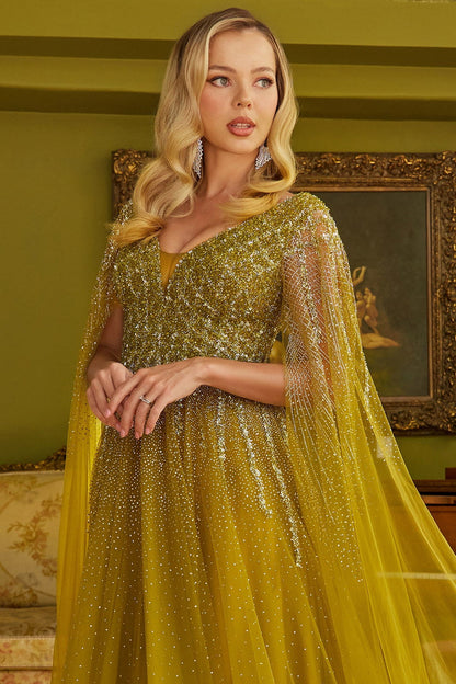 princess long sleeve dress