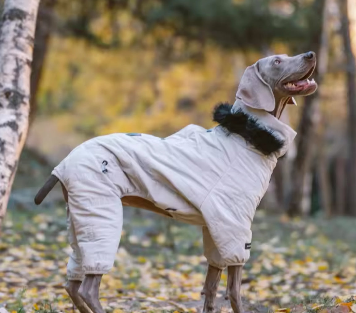 Winter Dog Jacket | Dog Jacket with Hood for Cold Weather