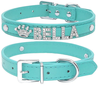 Collier pour chien Aqua Royale | Collier personnalisé pour chien