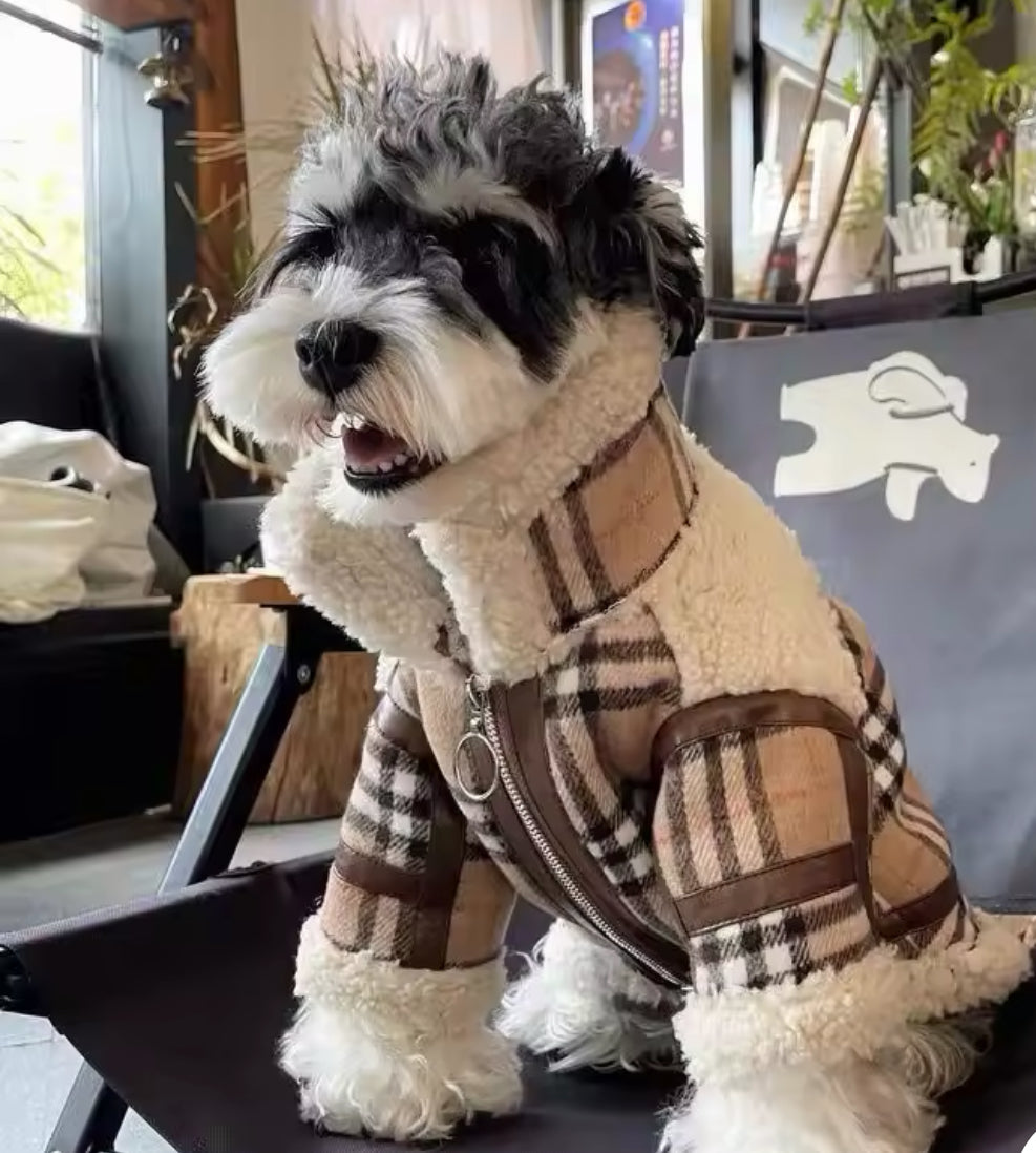 Veste pour chien Jayden | Veste pour chien pour temps froid