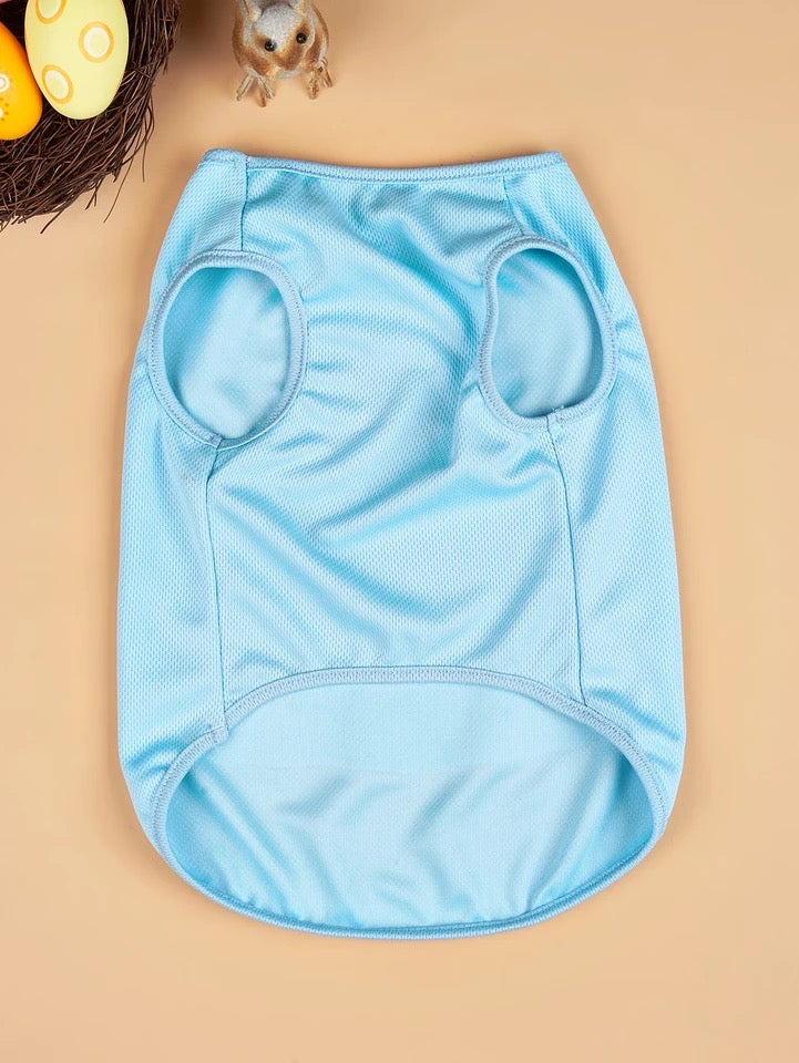 Chemise bleue de Pâques