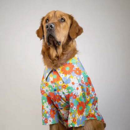 Chemise de printemps Merle – Chemise pour grands chiens