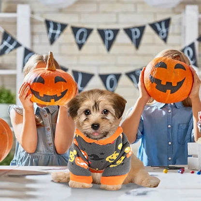 Pull d'Halloween pour chien – Vêtement pour animaux d'automne citrouille