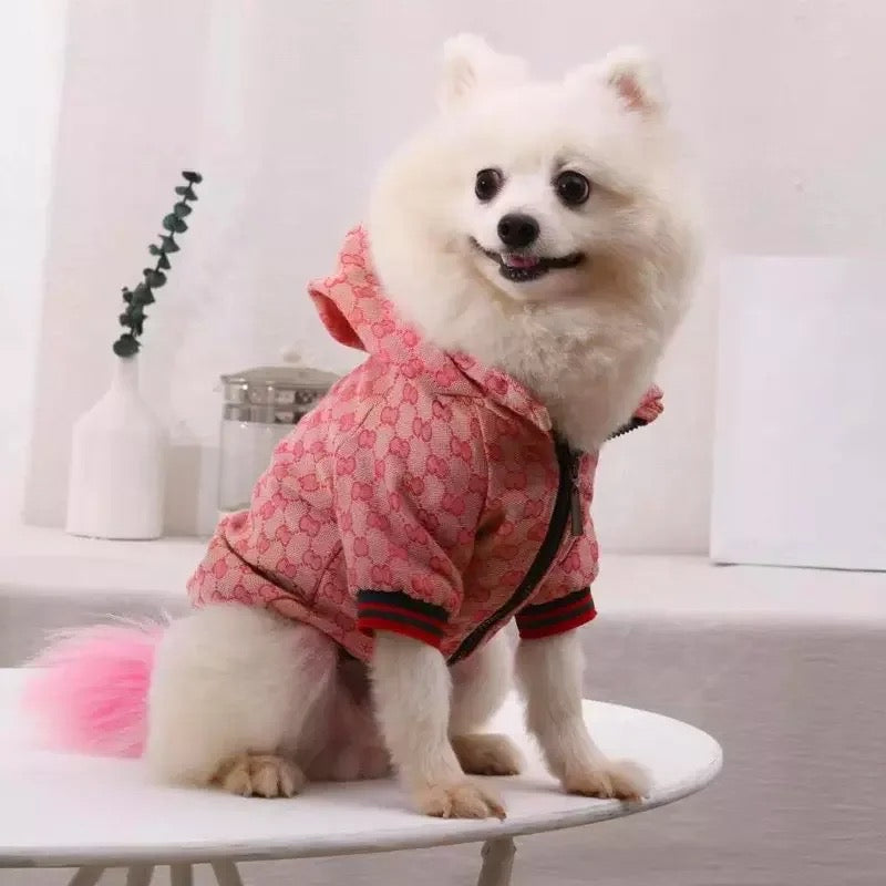 Hoddie confortable Celeste Gigi pour chien | Hoddie en tricot doux pour chien