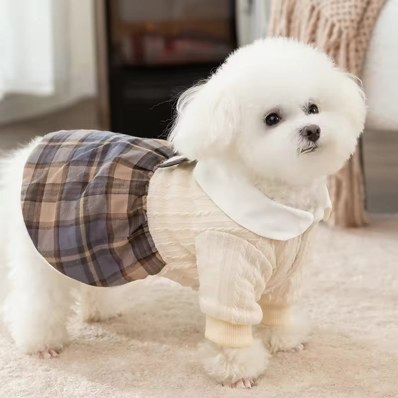 Samuel School Outfit for Dogs – Matching Dog Dress and Sweater Set