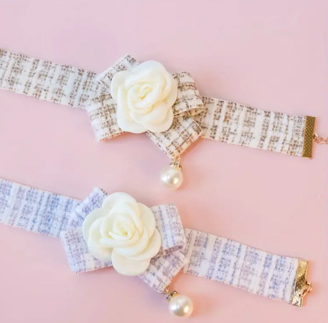 Collier pour chien Coco Chewnel | Collier pour chien