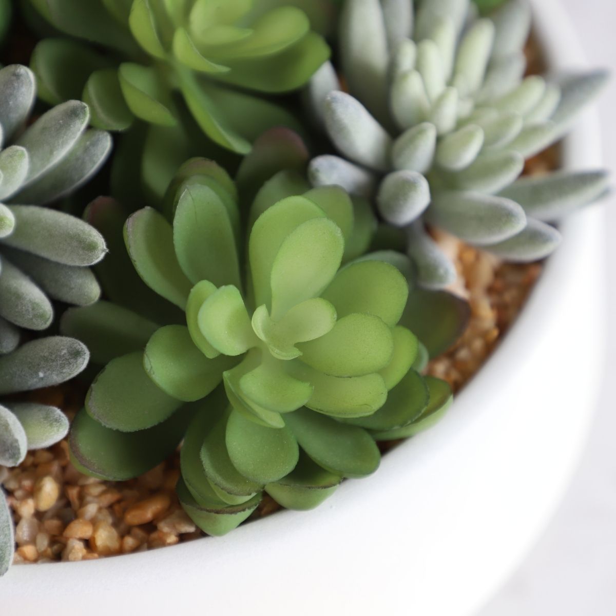 Composition de succulentes artificielles Eva dans un pot bas blanc