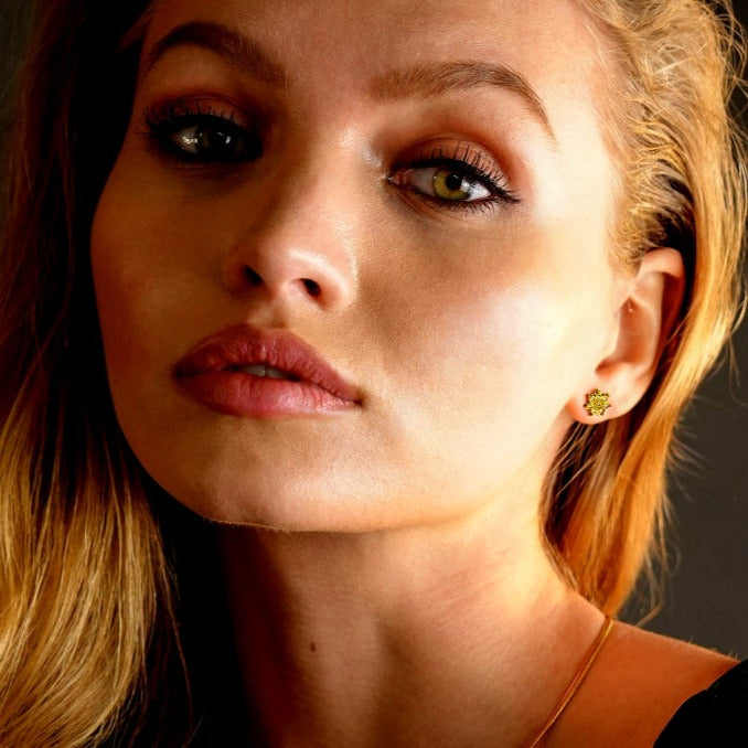 Modèle AGNES : Puces d'oreilles en zircone « Be a Star »