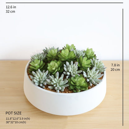 Composition de succulentes artificielles Eva dans un pot bas blanc