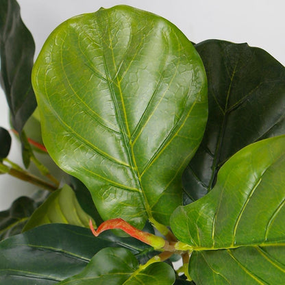 Plante en pot artificielle Dante Fiddle Leaf 10'