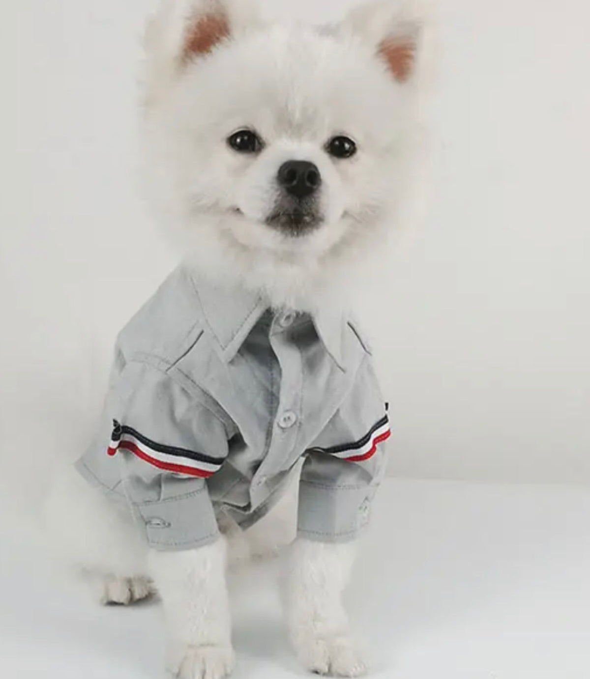 Chemise Randy