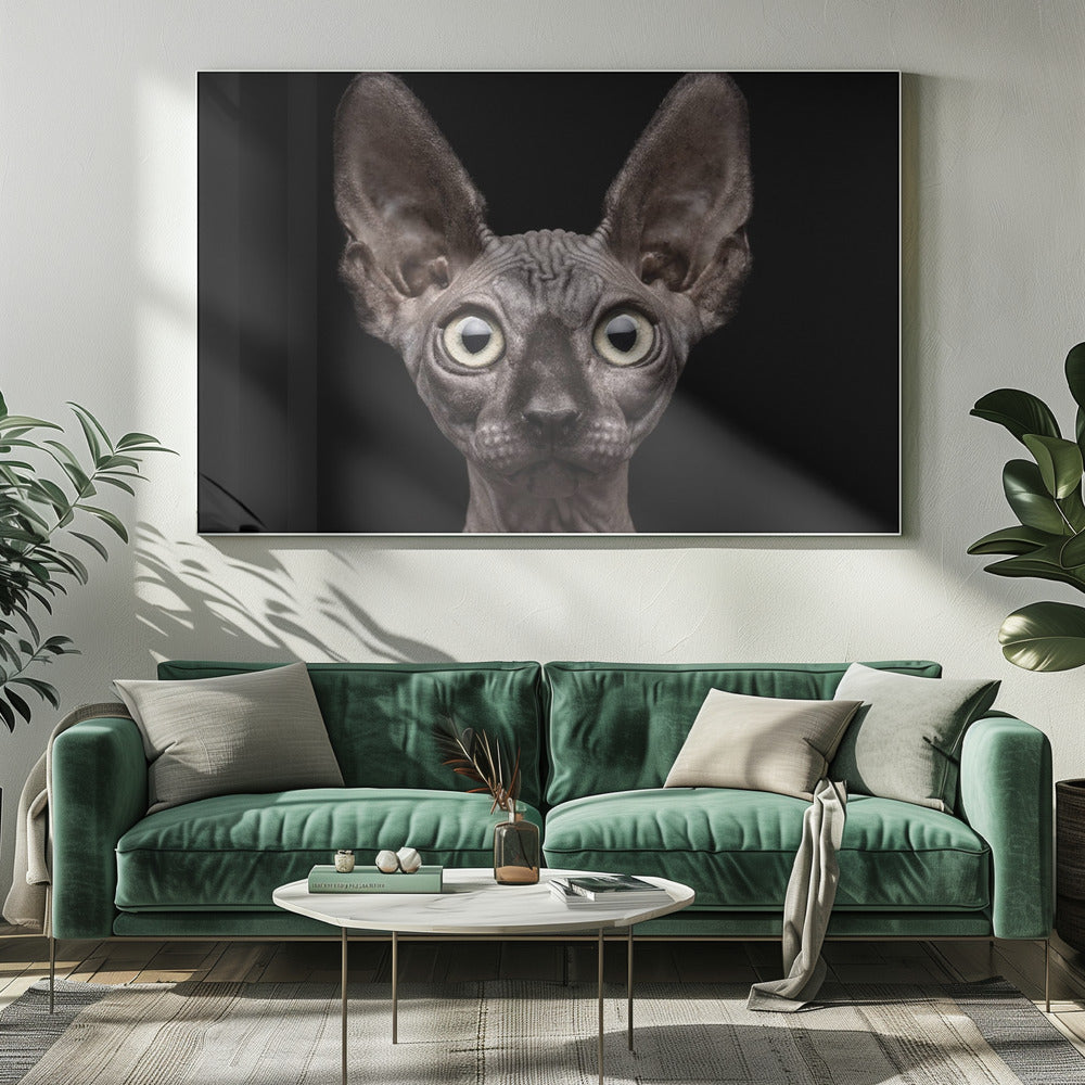 Wall art Sphynx Cat