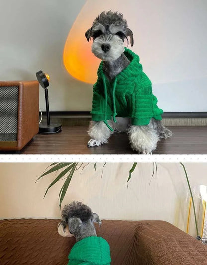 Pull tricoté pour chien | Pull pour chien Pawtega Venetaw