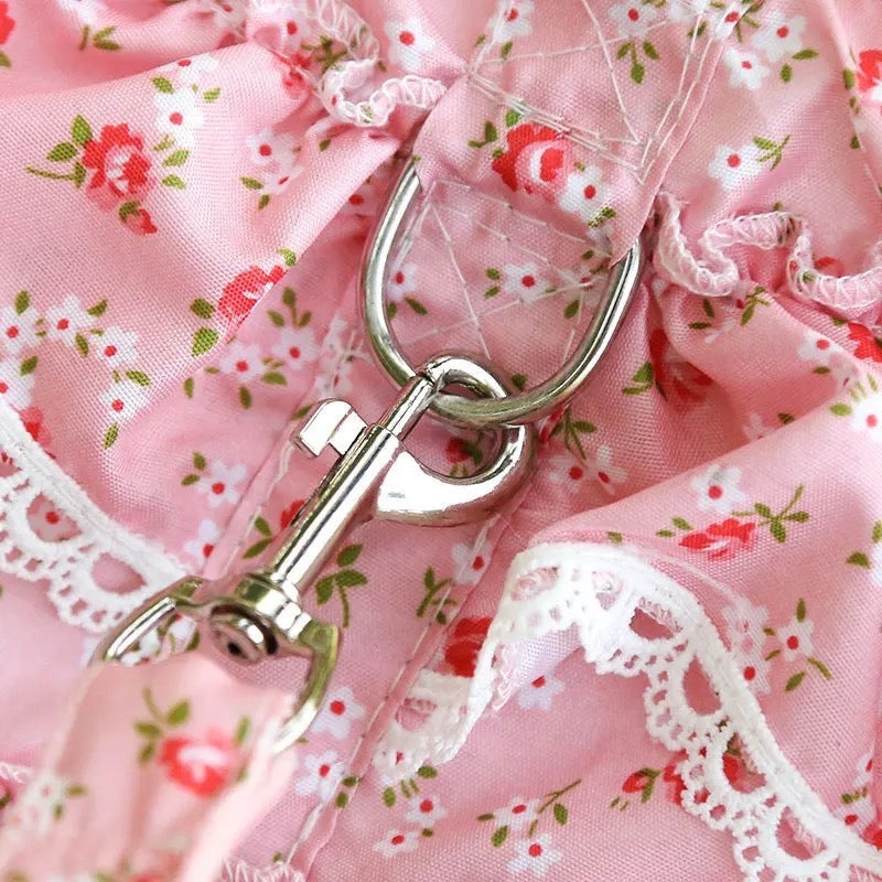 Ensemble Harnais et Laisse Floral pour Chien | Ensemble de Promenade pour Chien
