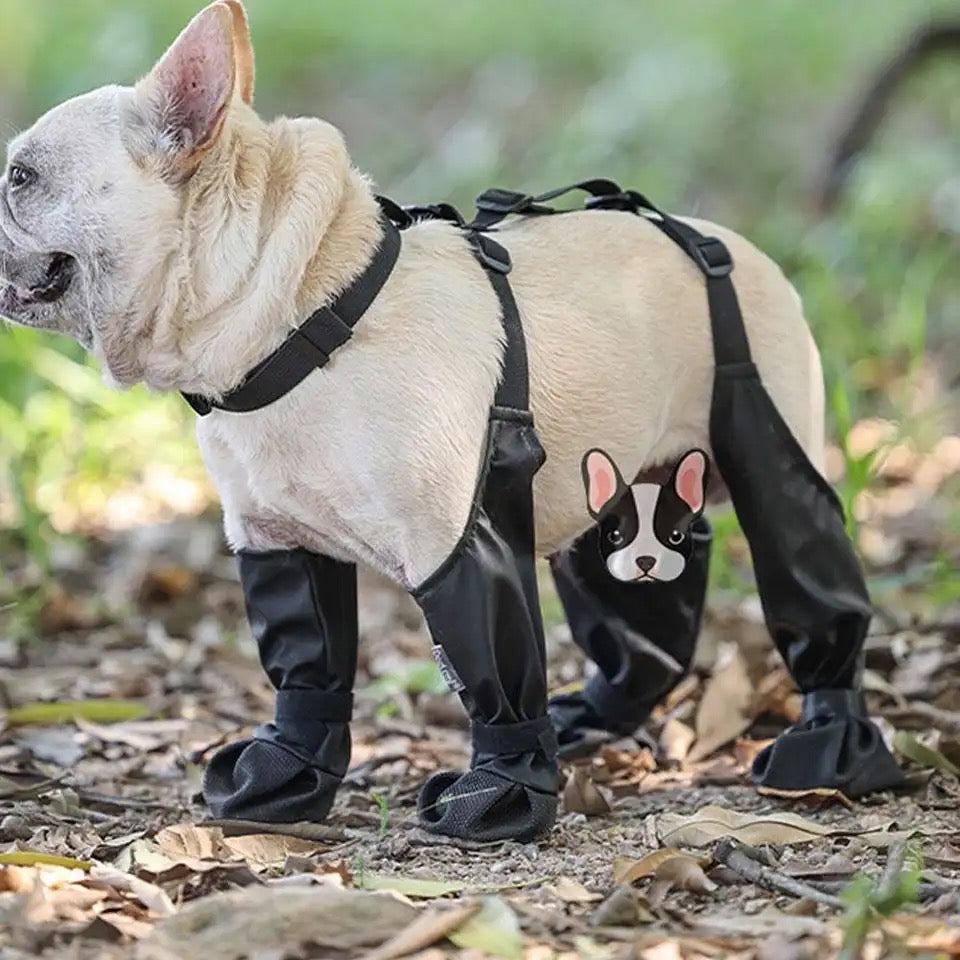 Bottes pour chiens | Bottes de protection des pattes pour chiens