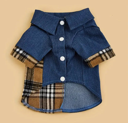 Chemise pour chien Lenny | Chemise boutonnée pour chiens
