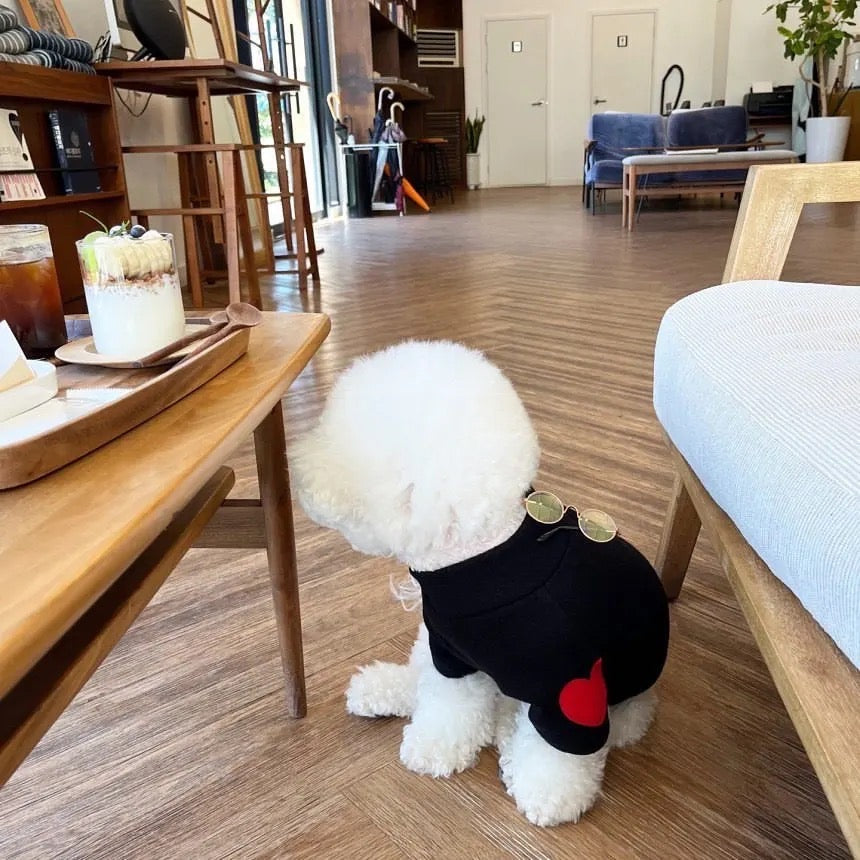 Pull pour chien | Pull pour chien en forme de cœur
