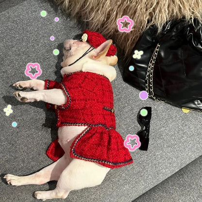 Robe et Chapeau pour Chien | Tenue en Tweed Chewnel pour Chien