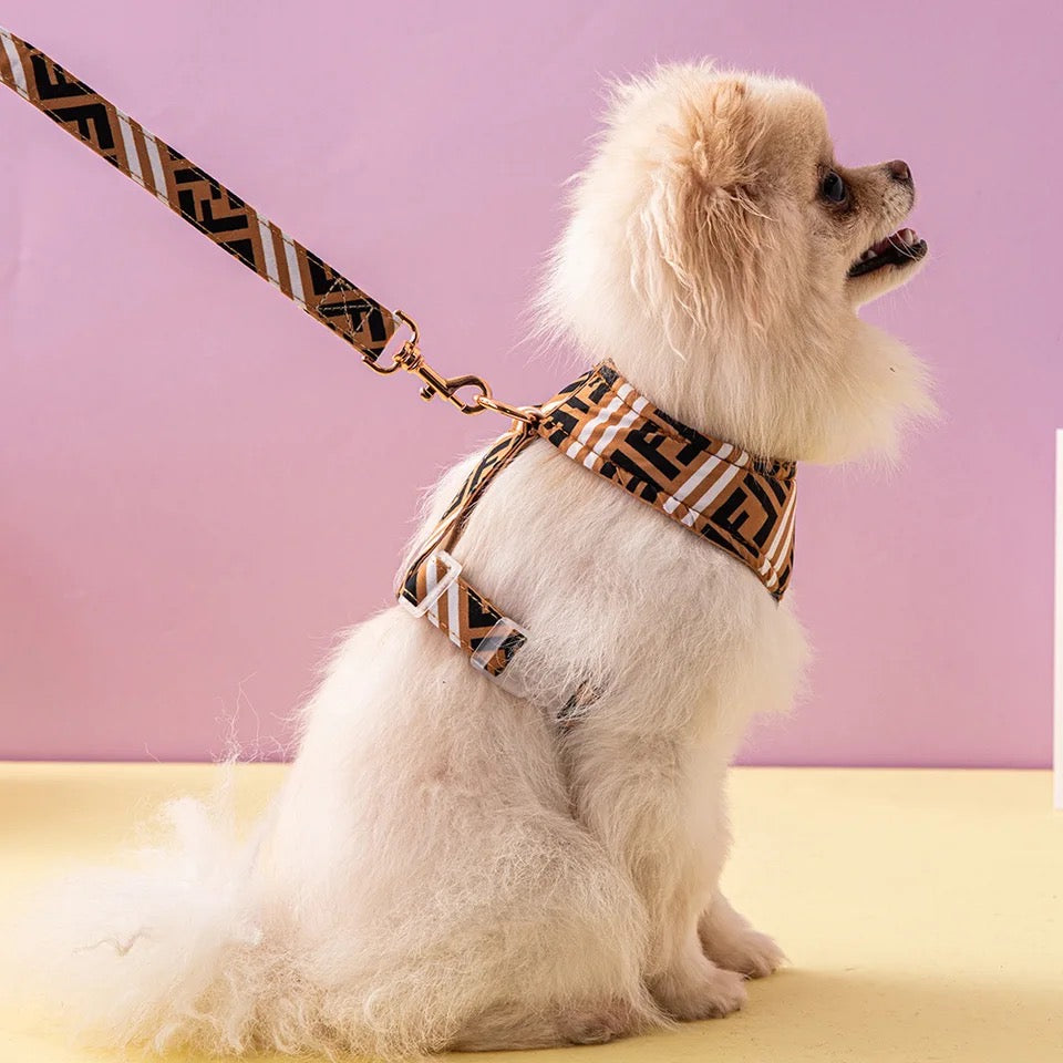 Ensemble Harnais et Laisse Classiques pour Chien Furendi | Essentiels pour les promenades quotidiennes