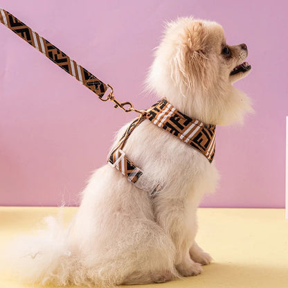 Ensemble Harnais et Laisse Classiques pour Chien Furendi | Essentiels pour les promenades quotidiennes