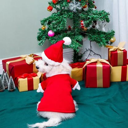 Tenue de chien « Santa Claws Is Coming » | Tenue de Noël pour chien