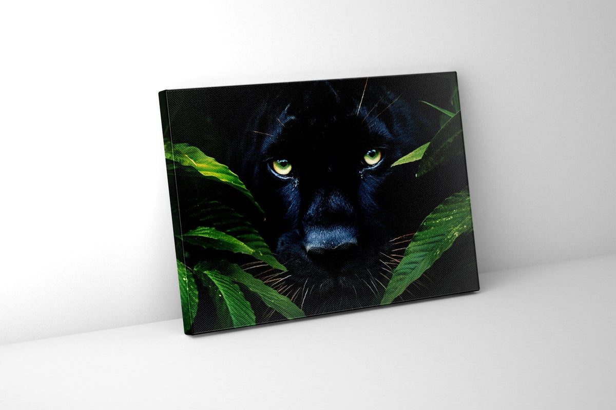 Rare Black Jaguar - Wall Decor-RGB Vanish Canvas Print