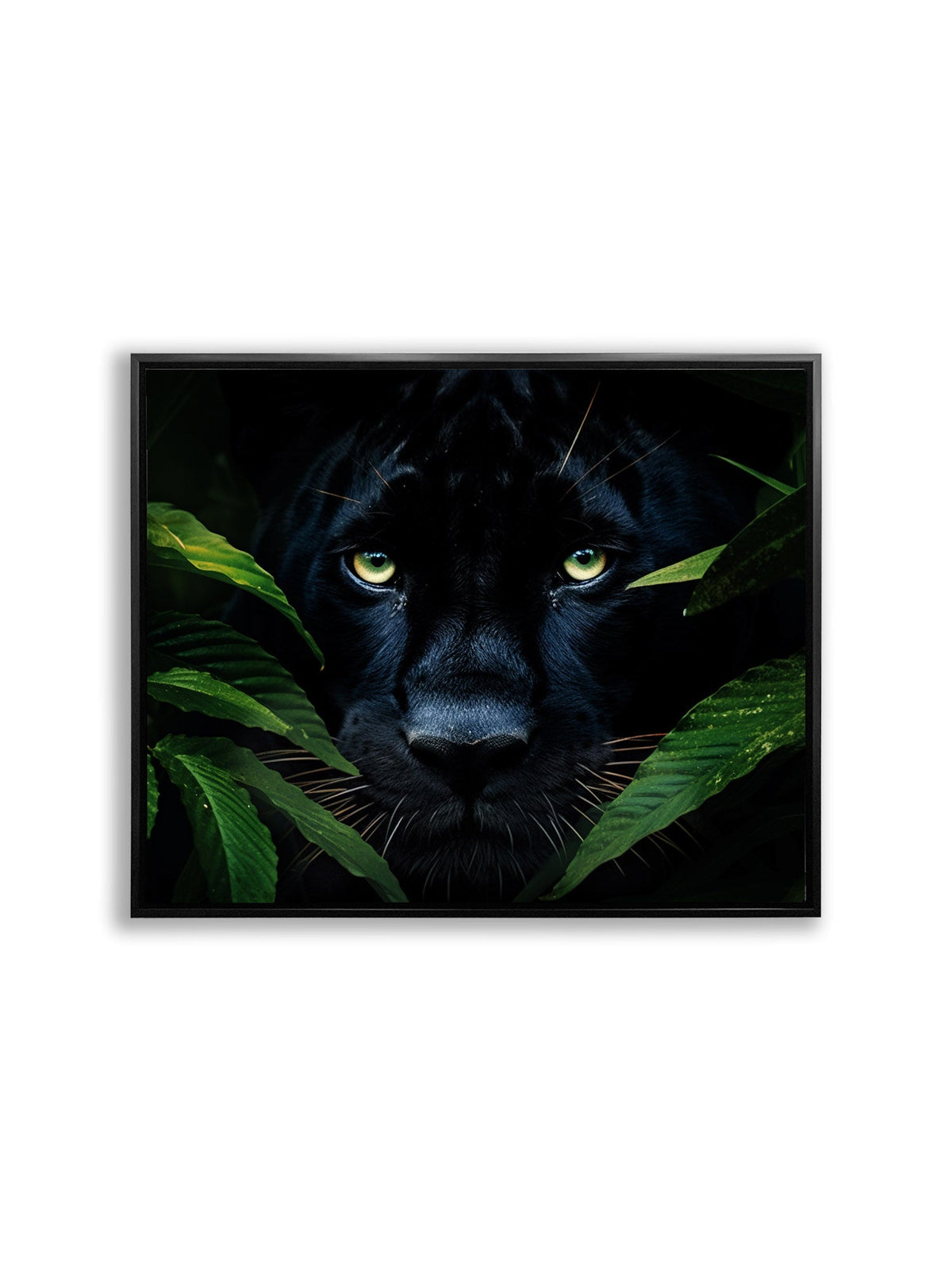 Rare Black Jaguar - Wall Decor-RGB Vanish Canvas Print