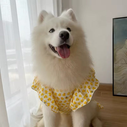Summertime Happiness Dress Set – Luxury Large Breed Dog Dress with Hat