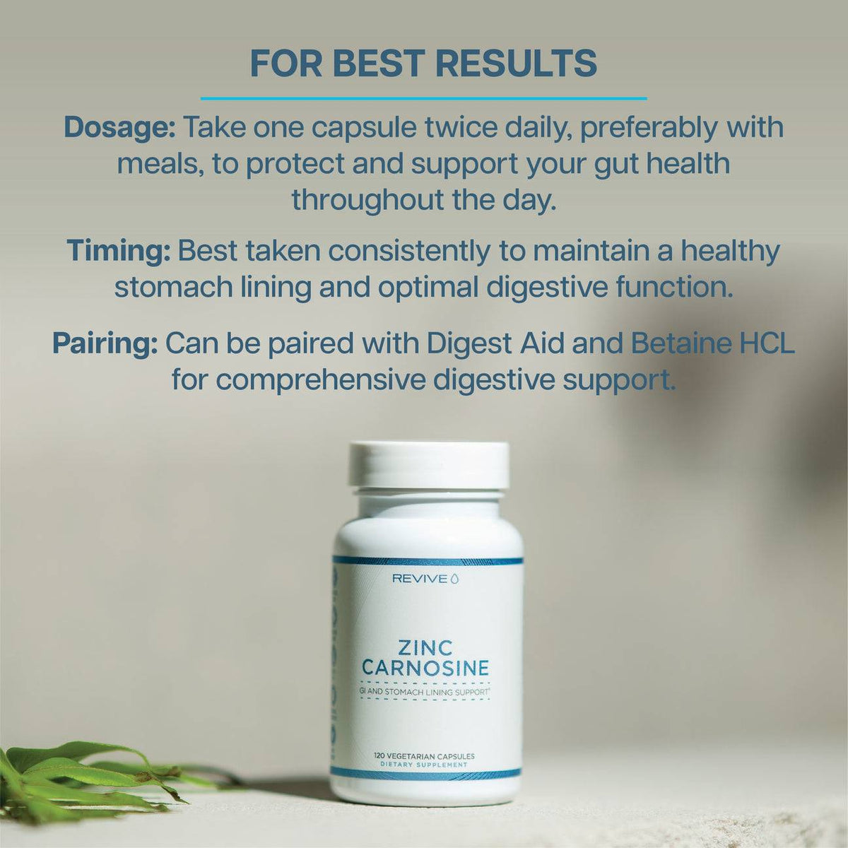 Revive Zinc Carnosine