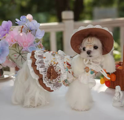 Medieval Dress & Hat Set – Fantasy Luxury Dog Outfit