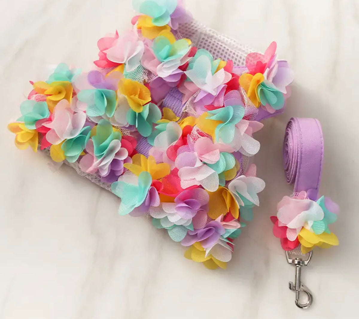 Ensemble Harnais et Laisse Cerisier en Fleurs | Ensemble de Promenade pour Chien