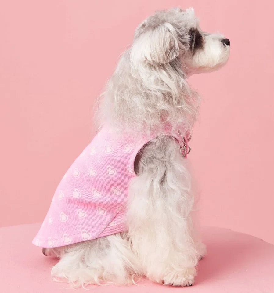 Robe Pénélope
