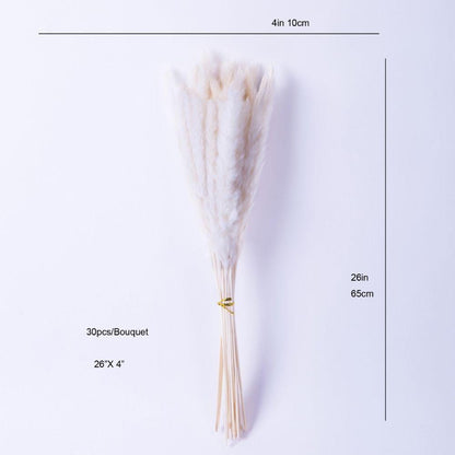 Grand bouquet de pampa beige 66 cm (lot de 30)