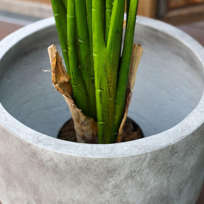 Jardinière Berto Ciment 38 cm