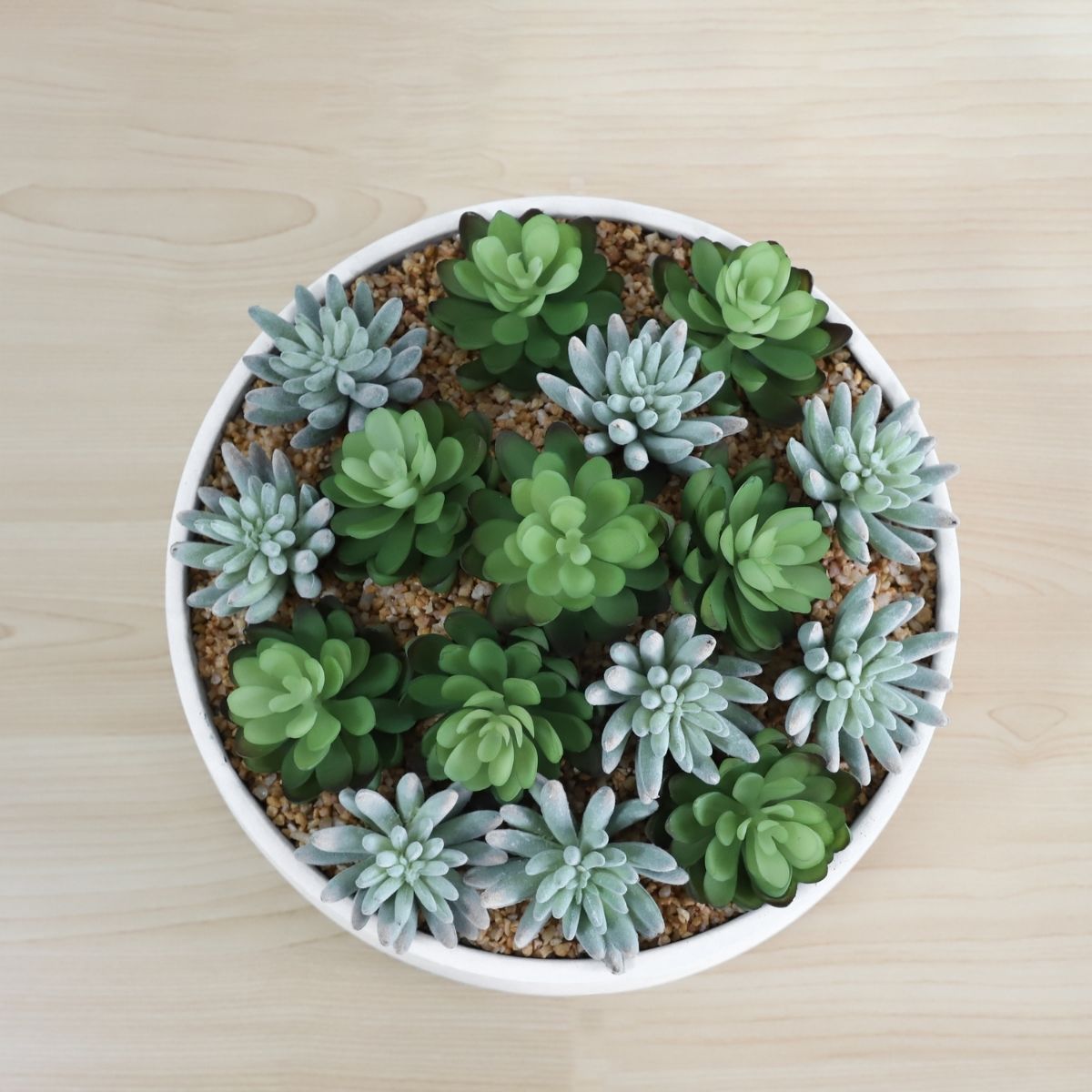 Composition de succulentes artificielles Eva dans un pot bas blanc