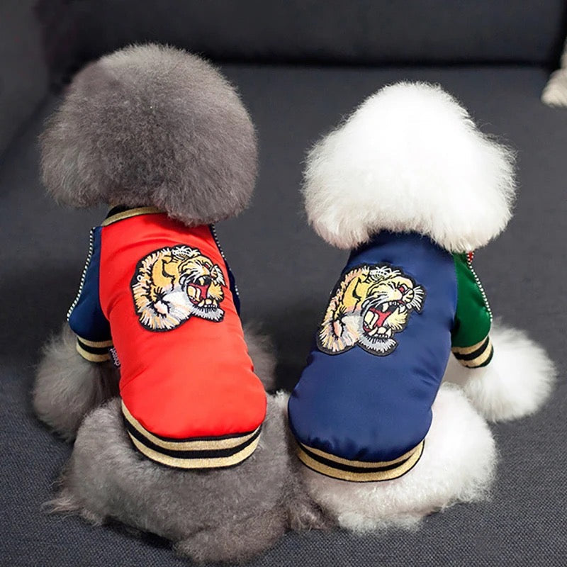 Blouson bombardier pour chien œil de tigre et lion | Veste de streetwear pour chien