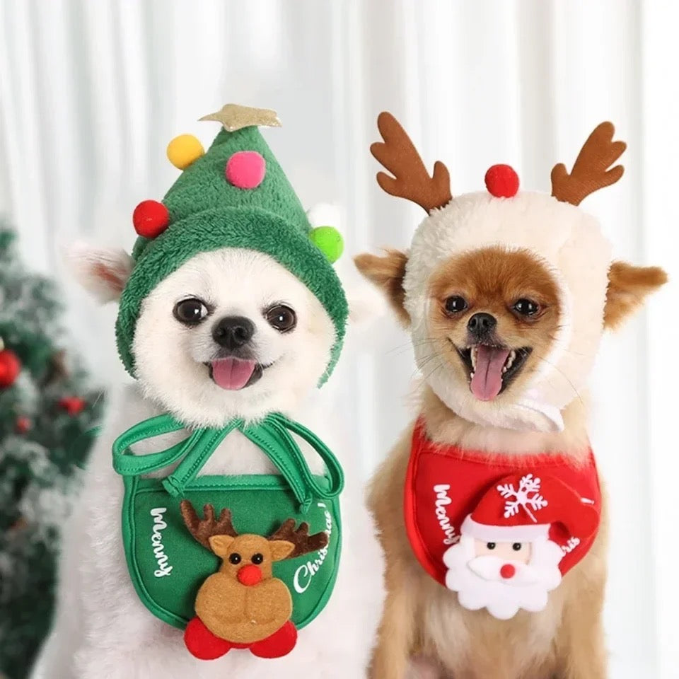 Bandana et chapeau de Noël pour chien | Thème renne ou sapin