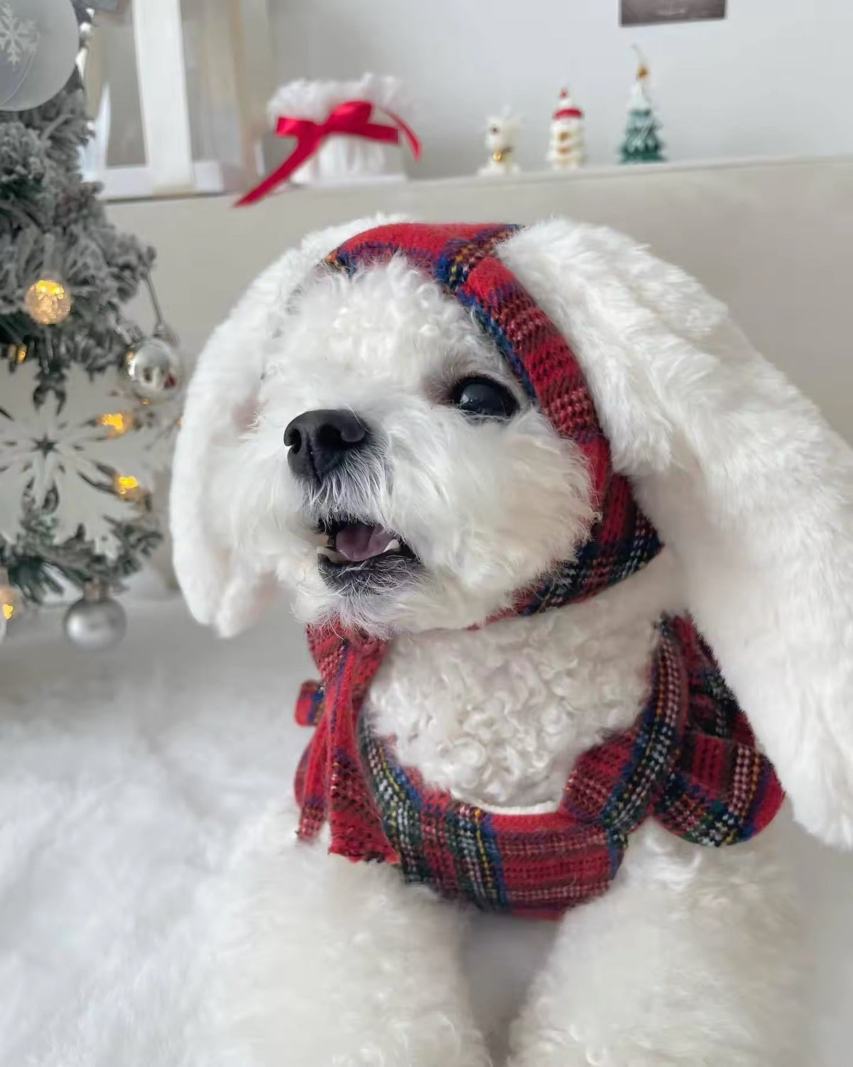 Robe Hiver Lapin pour Chiens – Robe Chien à Carreaux Rouges avec Chapeau