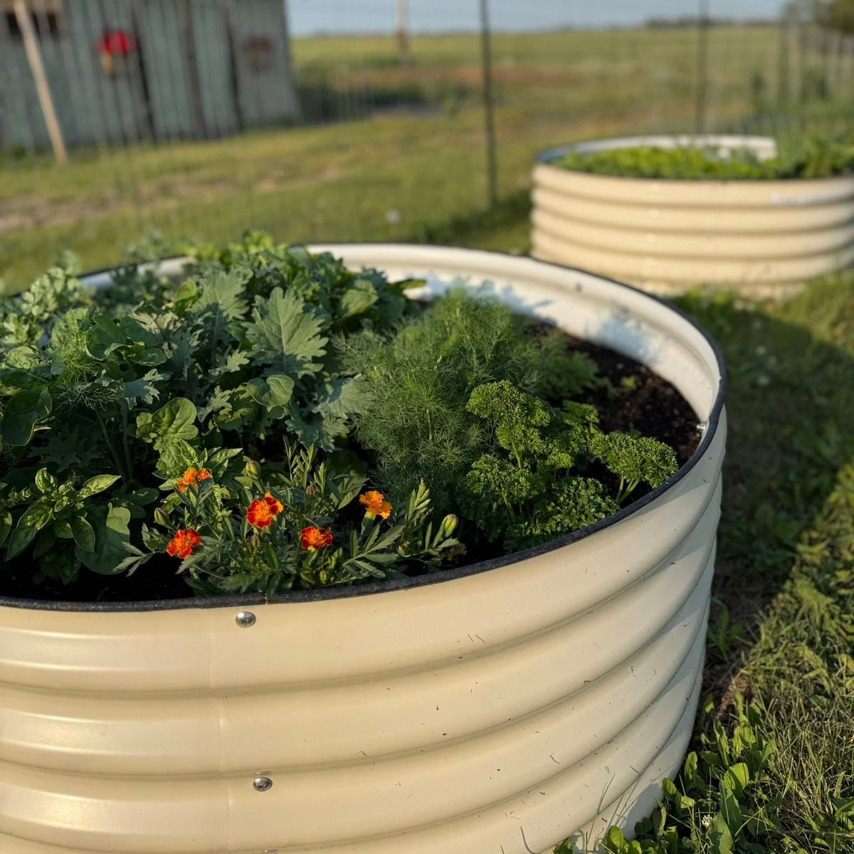 Kit de bac de jardin rond de 43 cm de hauteur