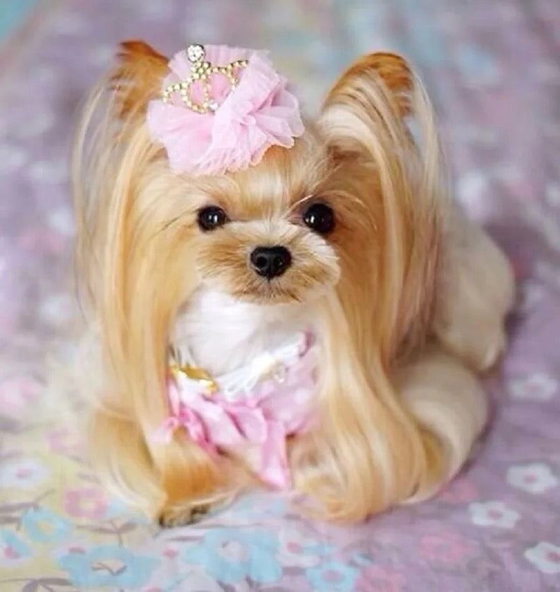 Couronne de princesse