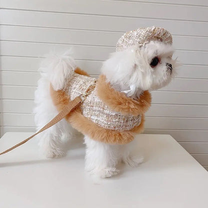 Ensemble Harnais, Chapeau et Laisse pour chien | Ensemble de promenade pour chien en tweed cappuccino